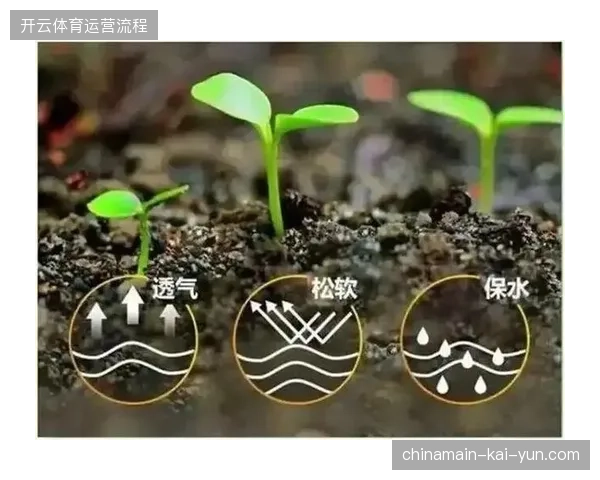 2026年夏季赛事的主战场,将由精准的数据反馈模型决定胜负